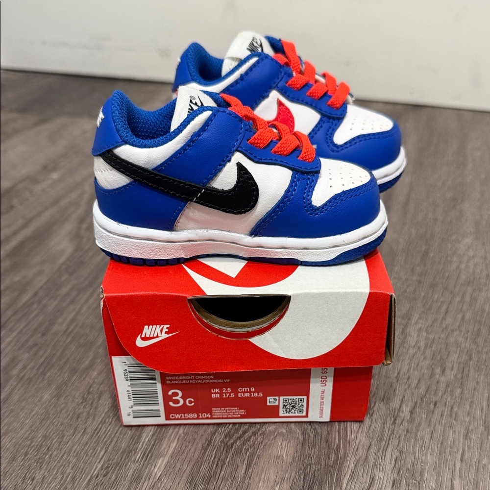 NWT Baby Nike Dunk Low Top Sneakers